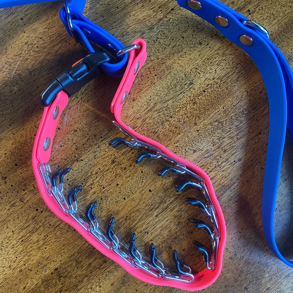 Prong Training Collar with attached leash